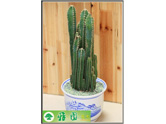 万重山