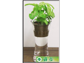 金童子